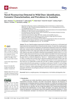 Novel Picornavirus detected in Wild Deer: Identification, genomic characterisation, and prevalence in Australia
