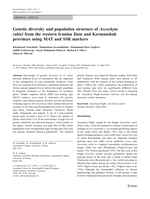 Genetic diversity and population structure of Ascochyta rabiei from the western Iranian Ilam and Kermanshah provinces using MAT and SSR markers