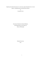Exploring intercultural interactions on a university campus through the lens of a local student: A multidimensional, multi-theoretical analysis