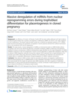 Massive deregulation of miRNAs from nuclear reprogramming errors during trophoblast differentiation for placentogenesis in cloned pregnancy