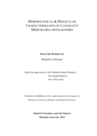 Morphological & molecular characterisation of Candidatus Midichloria mitochondrii