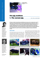 Pet pig medicine: 1. The normal pig