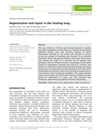 Regeneration and repair in the healing lung