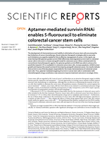 Aptamer-mediated survivin RNAi enables 5-fluorouracil to eliminate colorectal cancer stem cells