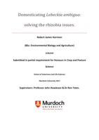 Domesticating Lebeckia ambigua: Solving the rhizobia issues.