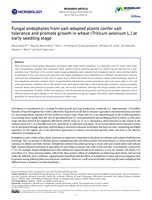 Fungal endophytes from salt-adapted plants confer salt tolerance and promote growth in wheat (Triticum aestivum L.) at early seedling stage