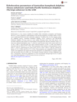 Echolocation parameters of Australian humpback dolphins (Sousa sahulensis) and Indo-Pacific bottlenose dolphins (Tursiops aduncus) in the wild
