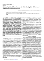 Effect of pyridoxal phosphate on the DNA binding site of activated hepatic glucocorticoid receptor