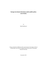 Energy investment decisions under public policy uncertainty