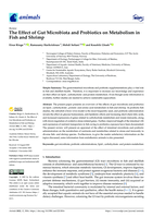 The effect of gut microbiota and probiotics on metabolism in fish and shrimp