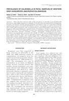 Prevalence of Salmonella in fecal samples of western grey kangaroos (Macropus fuliginosus)