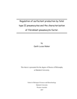 Regulation of surfactant production by fetal type II pneumocytes and the characterization of fibroblast-pneumocyte factor