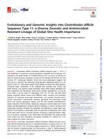 Evolutionary and genomic insights into Clostridioides difficile sequence Type 11: a diverse zoonotic and antimicrobial-resistant lineage of global one health importance