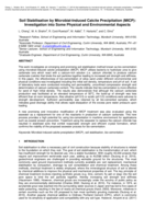 Soil stabilisation by microbial induced calcium carbonate precipitation: investigation of some important physical and environmental aspects