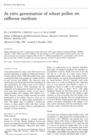 In vitro germination of wheat pollen on raffinose medium