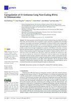 Upregulation of 15 antisense long non-coding RNAs in osteosarcoma
