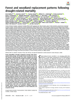 Forest and woodland replacement patterns following drought-related mortality