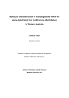 Molecular characterisation of microorganisms within the stump-tailed lizard tick, Amblyomma albolimbatum, in Western Australia