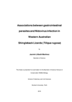 Associations between gastrointestinal parasites and Nidovirus infection in Western Australian Shingleback lizards (Tiliqua rugosa)