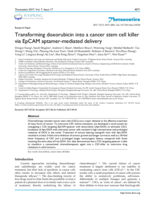 Transforming doxorubicin into a cancer stem cell killer via EpCAM aptamer-mediated delivery