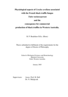Physiological aspects of Corylus avellana associated with the French black truffle fungus Tuber melanosporum and the consequence for commercial production of black truffles in Western Australia