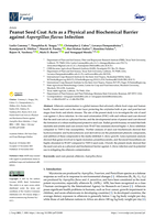 Peanut seed coat acts as a physical and biochemical barrier against Aspergillus flavus infection