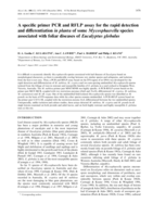 A specific primer PCR and RFLP assay for the rapid detection and differentiation in planta of some Mycosphaerella species associated with foliar diseases of Eucalyptus globulus