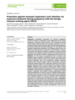 Protection against neonatal respiratory viral infection via maternal treatment during pregnancy with the benign immune training agent OM‐85