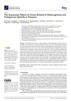 The expression pattern of genes related to melanogenesis and endogenous opioids in psoriasis