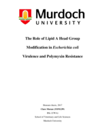 The role of lipid a head group modification in Escherichia coli virulence and polymyxin resistance