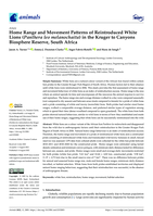 Home range and movement patterns of reintroduced white lions (Panthera leo melanochaita) in the Kruger to Canyons Biosphere Reserve, South Africa