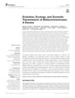Evolution, ecology, and zoonotic transmission of Betacoronaviruses: A Review
