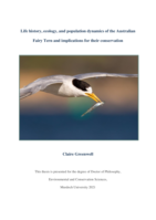 Life history, ecology, and population dynamics of the Australian Fairy Tern and implications for their conservation