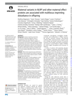Maternal variants in NLRP and other maternal effect proteins are associated with multilocus imprinting disturbance in offspring