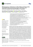 First emergence of resistance to macrolides and tetracycline identified in Mannheimia haemolytica and Pasteurella multocida isolates from beef feedlots in Australia