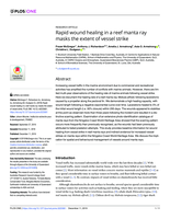 Rapid wound healing in a reef manta ray masks the extent of vessel strike