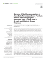 Genome-Wide characterization of ascorbate peroxidase gene family in peanut (Arachis hypogea L.) revealed their crucial role in growth and multiple stress tolerance