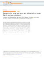 Evidence for fungi and gold redox interaction under Earth surface conditions