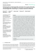Soil phosphorus heterogeneity promotes tree species diversity and phylogenetic clustering in a tropical seasonal rainforest