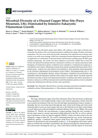 Microbial diversity of a disused copper mine site (Parys Mountain, UK), dominated by intensive eukaryotic filamentous growth