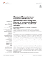 Molecular mechanisms and biochemical pathways for micronutrient acquisition and storage in legumes to support biofortification for nutritional security