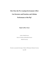 How Does the Pre-weaning Environment Affect Gut Structure and Function, and Lifetime Performance of the Pig?
