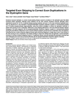 Targeted exon skipping to correct exon duplications in the dystrophin gene