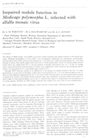 Impaired nodule function in Medicago polymorpha L. infected with alfalfa mosaic virus