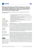 Phenotypic PIA-dependent biofilm production by clinical non-typeable staphylococcus aureus is not associated with the intensity of inflammation in mammary gland: A pilot study using mouse mastitis model