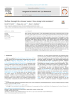 No flow through the vitreous humor: How strong is the evidence?