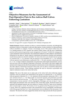 Objective measures for the assessment of post-operative pain in Bos indicus bull calves following castration