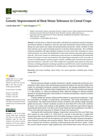 Genetic improvement of heat stress tolerance in cereal crops
