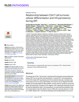 Relationship between CD4 T cell turnover, cellular differentiation and HIV persistence during ART
