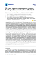 The use of biochemical measurements to identify pre-slaughter stress in pasture finished beef cattle